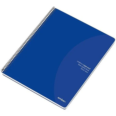 CADERNO A4 QUADRICULADO ESPIRAL 80FLS