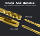 Titanium-Coated Spiral Tap | HSS Metric Machine Taps for Alloy Steel & Aluminum (M2–M12) - thumbnail 16