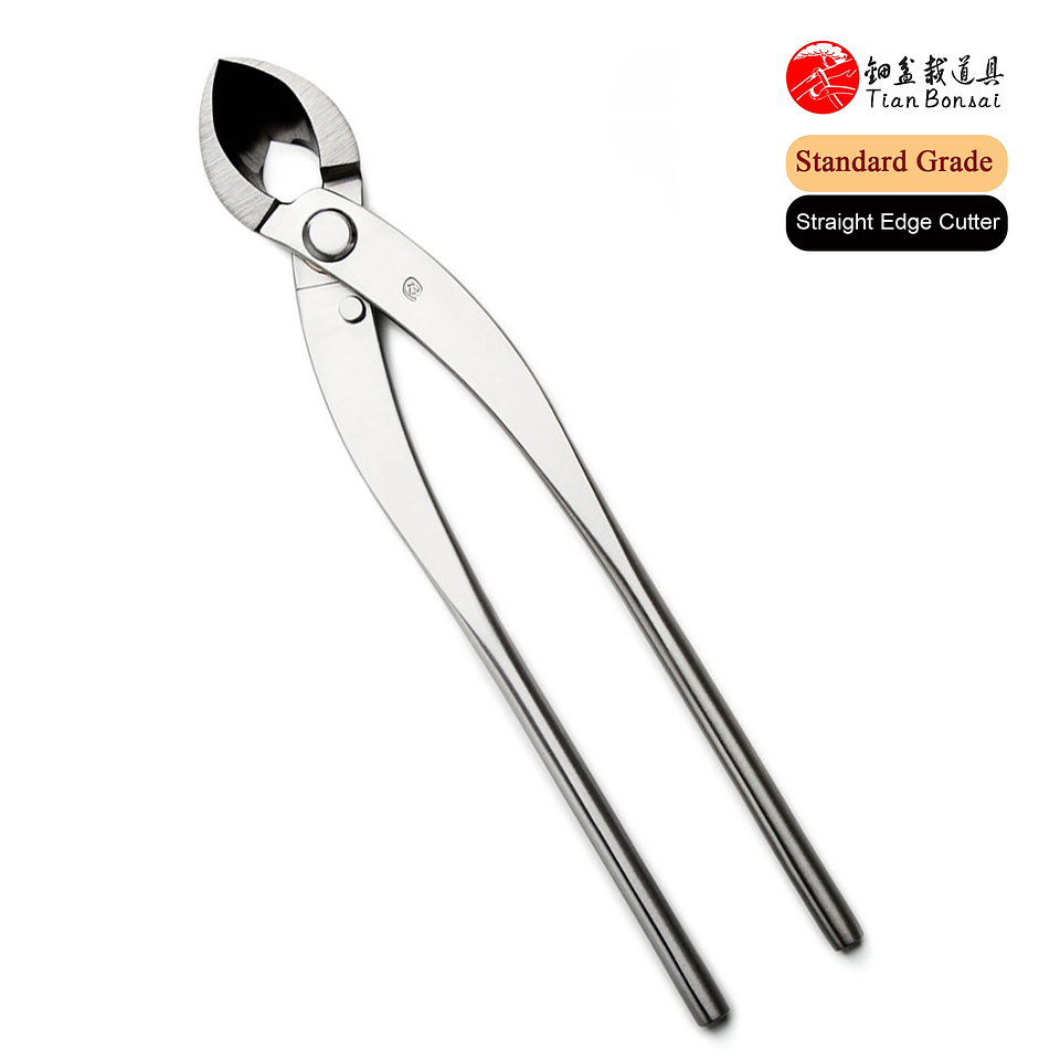 Standard Grade Straight Edge Branch Cutter | 3Cr13 Alloy Steel Bonsai Pruning Tool 6