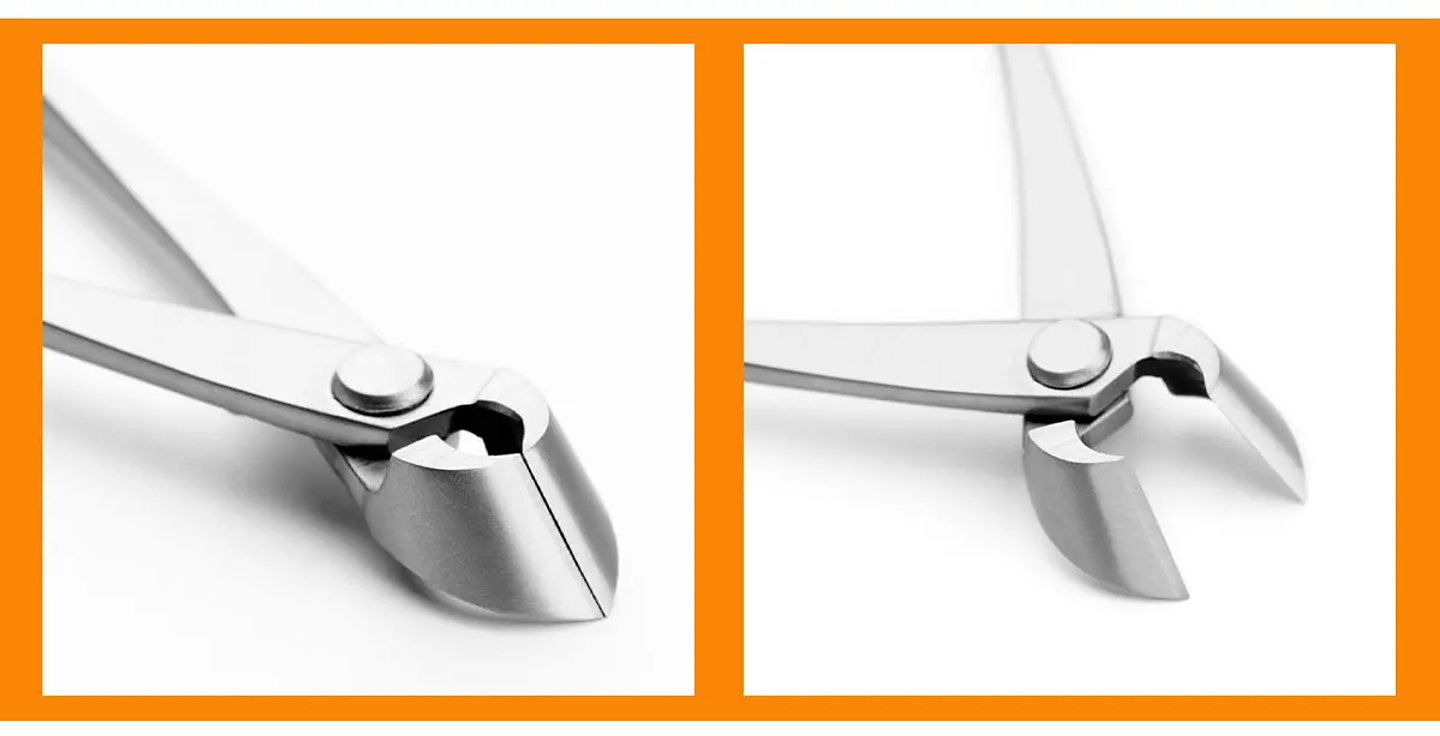 Standard Grade Straight Edge Branch Cutter | 3Cr13 Alloy Steel Bonsai Pruning Tool 17