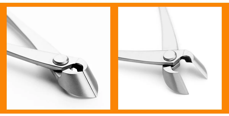 Standard Grade Straight Edge Branch Cutter | 3Cr13 Alloy Steel Bonsai Pruning Tool 17