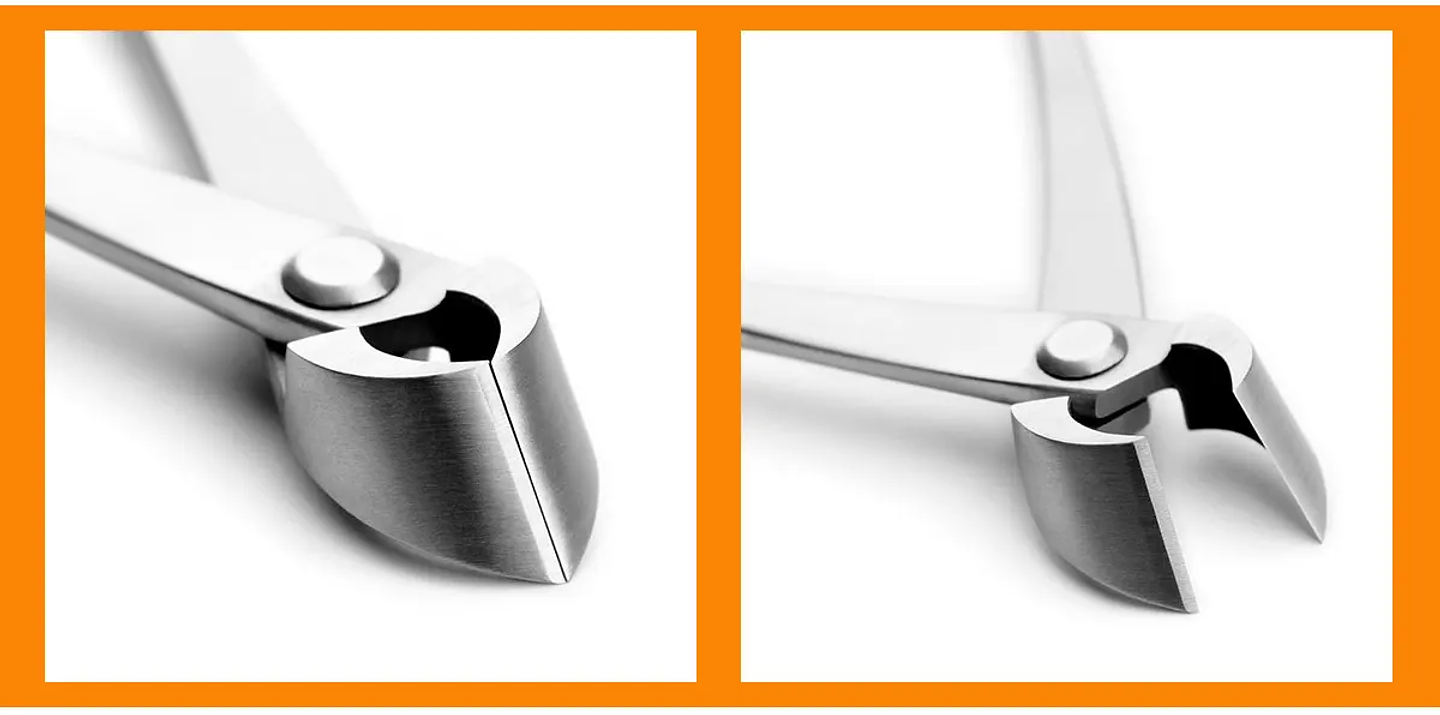 Standard Grade Straight Edge Branch Cutter | 3Cr13 Alloy Steel Bonsai Pruning Tool 21