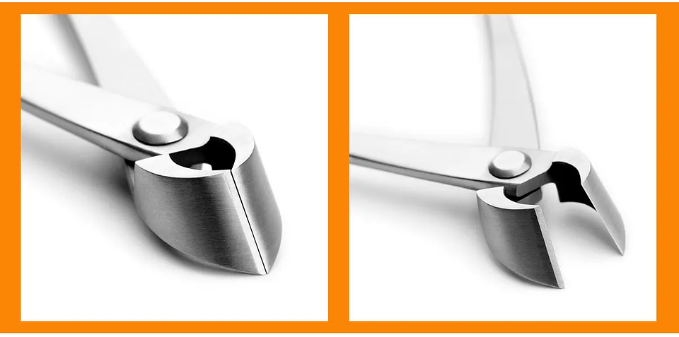 Standard Grade Straight Edge Branch Cutter | 3Cr13 Alloy Steel Bonsai Pruning Tool 21