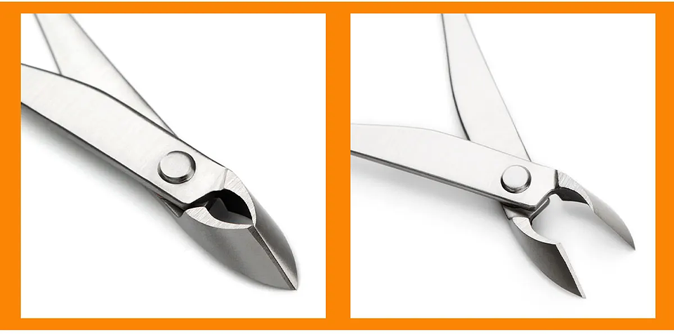 Standard Grade Straight Edge Branch Cutter | 3Cr13 Alloy Steel Bonsai Pruning Tool 27