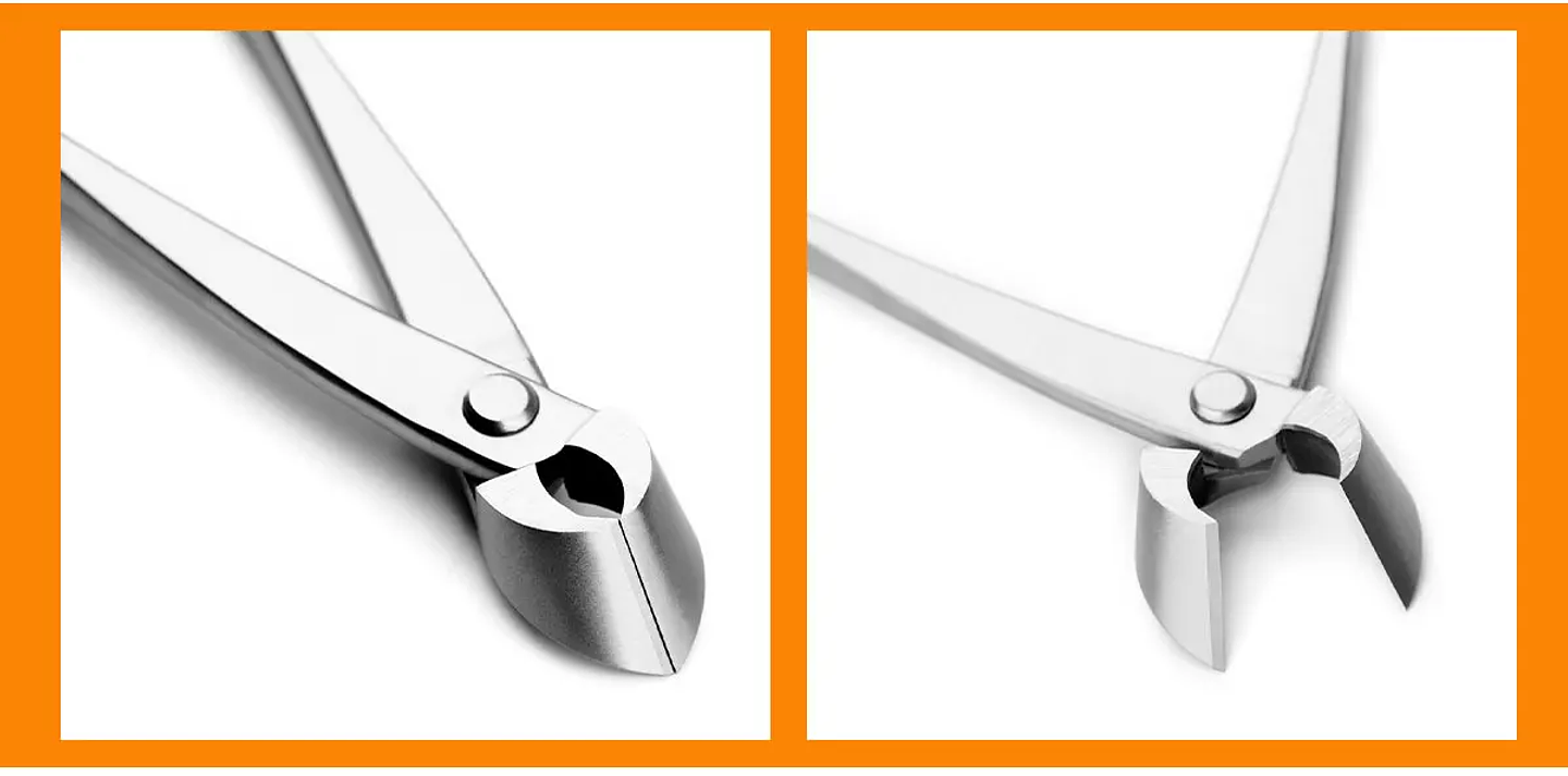 Standard Grade Straight Edge Branch Cutter | 3Cr13 Alloy Steel Bonsai Pruning Tool 31