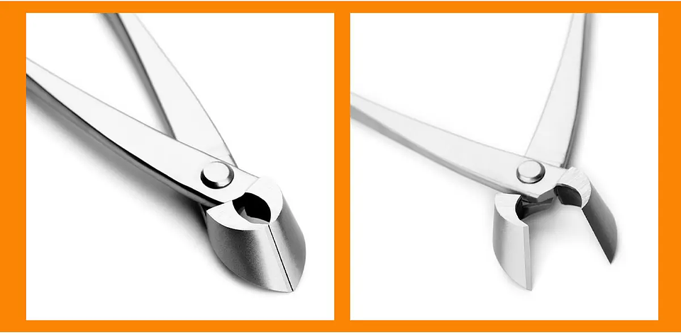 Standard Grade Straight Edge Branch Cutter | 3Cr13 Alloy Steel Bonsai Pruning Tool 31