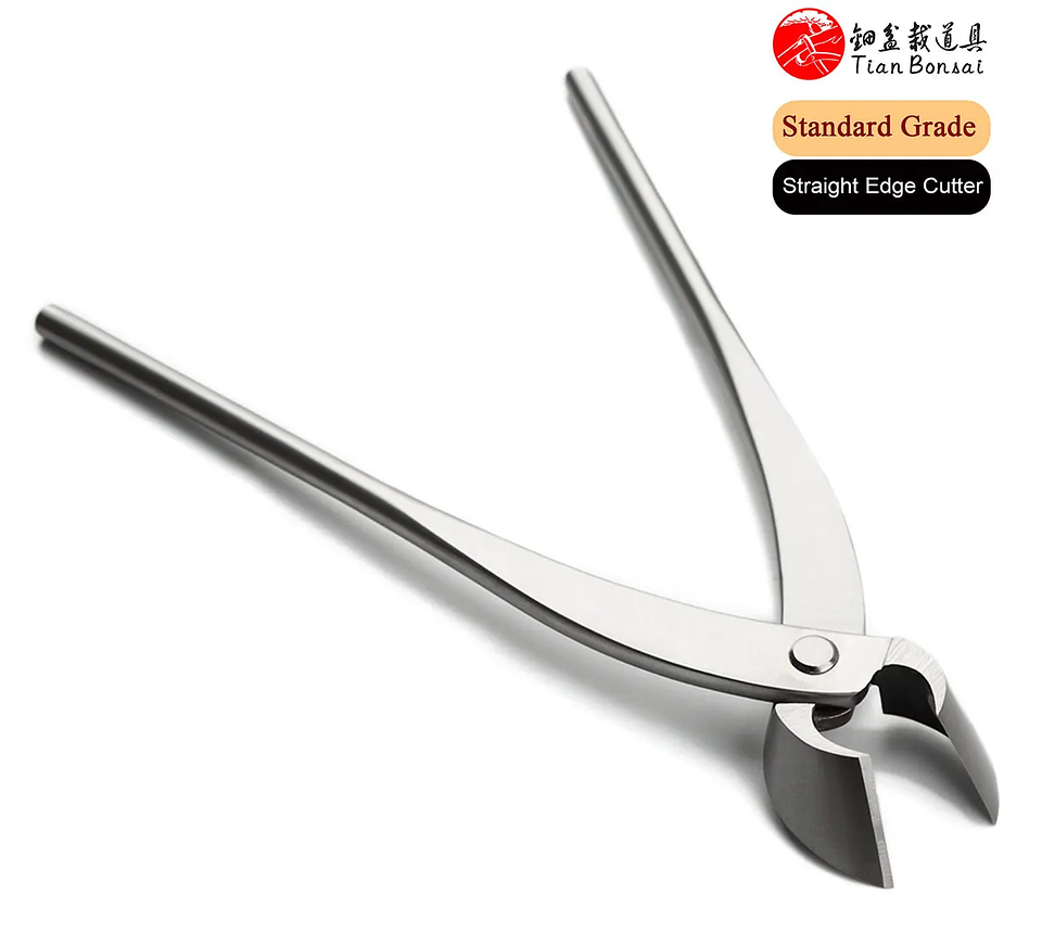 Standard Grade Straight Edge Branch Cutter | 3Cr13 Alloy Steel Bonsai Pruning Tool 35