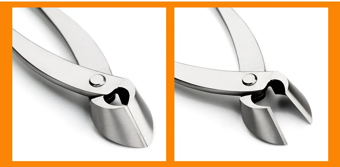 Standard Grade Straight Edge Branch Cutter | 3Cr13 Alloy Steel Bonsai Pruning Tool 37