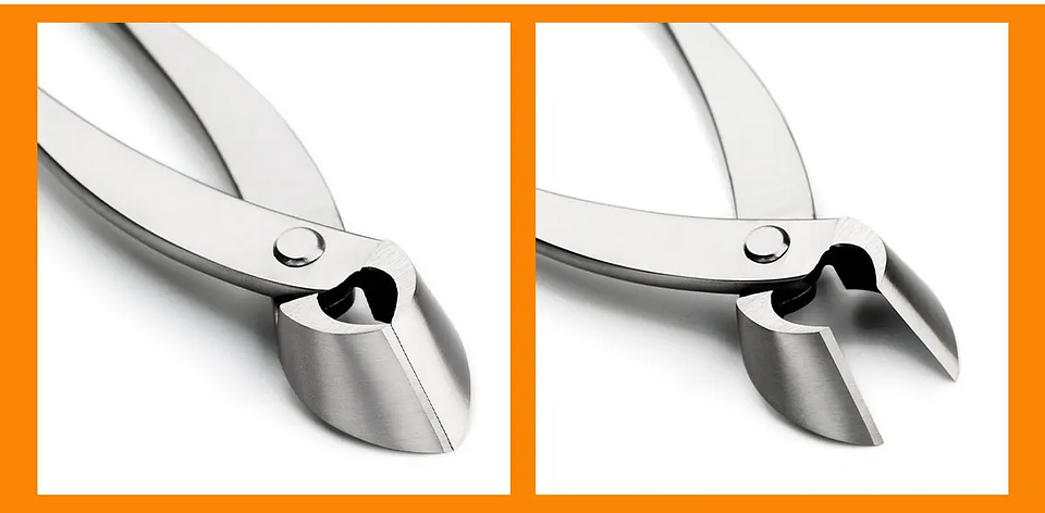 Standard Grade Straight Edge Branch Cutter | 3Cr13 Alloy Steel Bonsai Pruning Tool 37