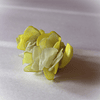 Broche Humilis Amarillo