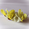 Broche Humilis Amarillo