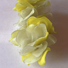 Broche Humilis Amarillo
