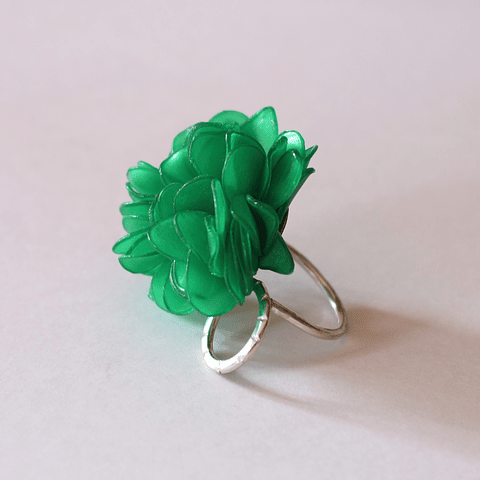 Anillo Verde y circulo 