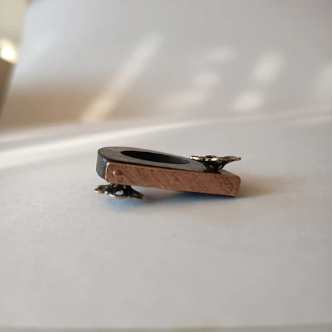 Anillo de Madera