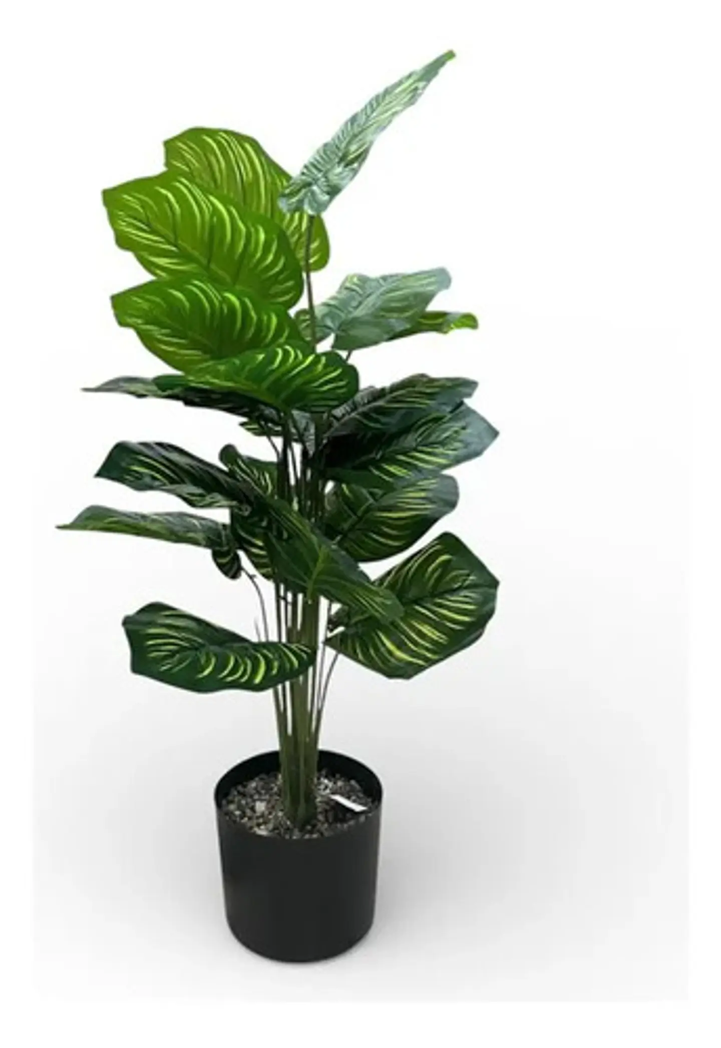 Planta Decorativa Elegante Estilo Bohemio 2