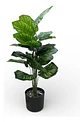 Planta Decorativa Elegante Estilo Bohemio - Miniatura 2
