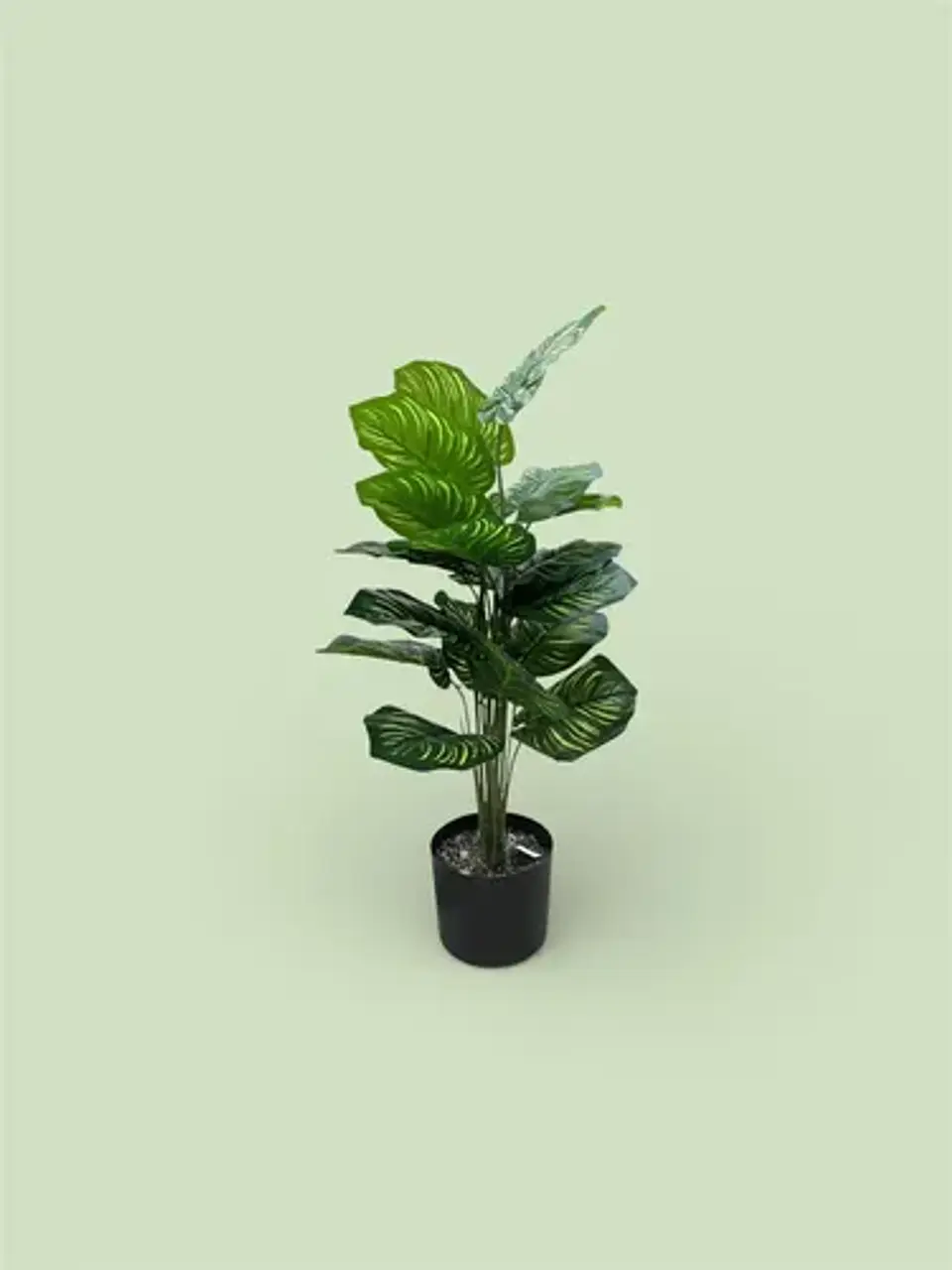 Planta Decorativa Elegante Estilo Bohemio 3