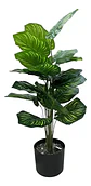 Planta Decorativa Elegante Estilo Bohemio - Miniatura 4