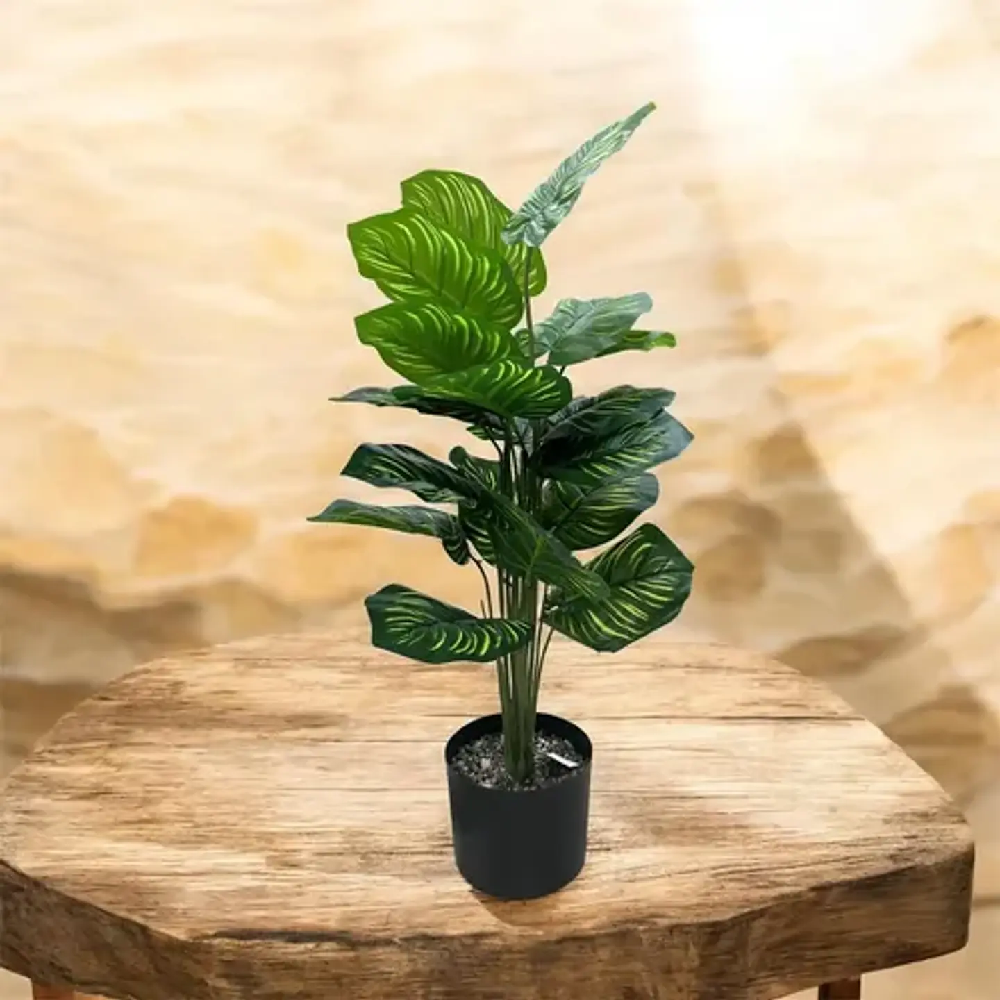 Planta Decorativa Elegante Estilo Bohemio 5