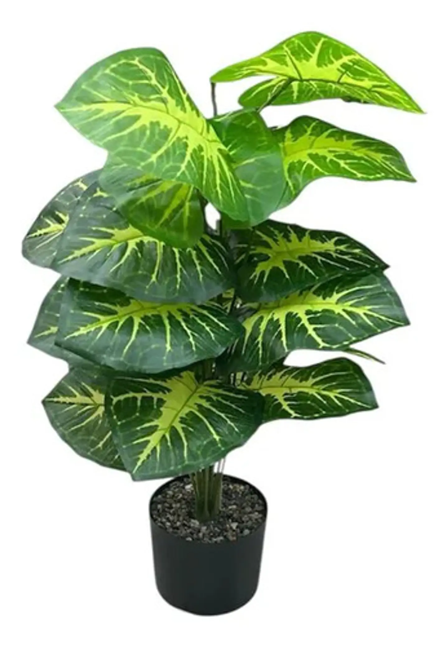 Planta Decorativa Elegante Estilo Bohemio 6
