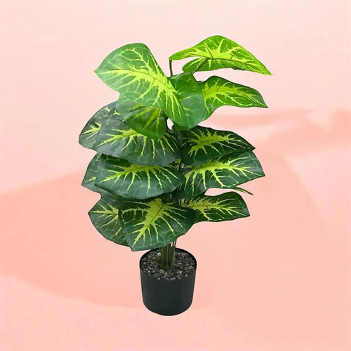 Planta Decorativa Elegante Estilo Bohemio 9