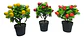 Planta Artificial Simulacion Bonsai De Limonero - Miniatura 3
