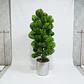 Planta Decorativa Artificial Tipo Pino  Elegancia Natural - Miniatura 6