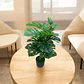 Planta Artificial Decorativa Con Un Toque Elegante - Miniatura 1