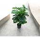 Planta Artificial Decorativa Con Un Toque Elegante - Miniatura 3