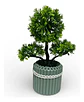 Elegante Planta Decorativa Tipo Bonsái  Estilo Natural - Miniatura 3