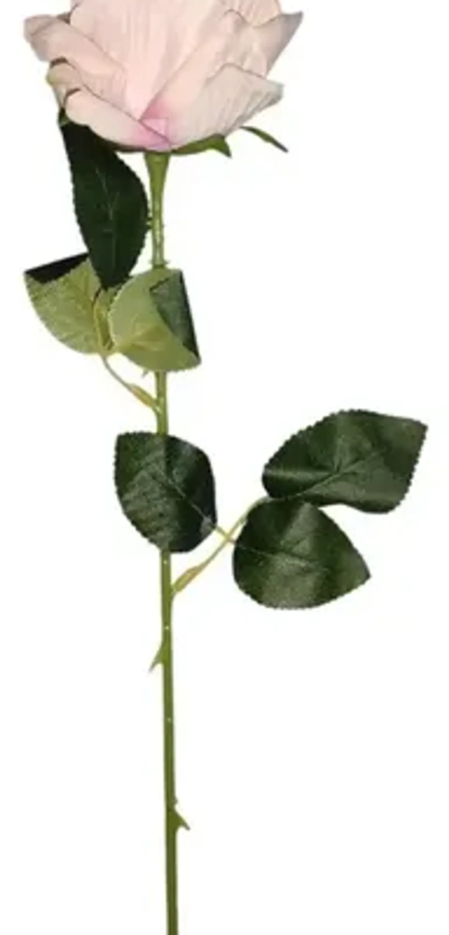 Rosa Artificial Para Regalo, Rosa Artificial  1 Unidad 50cm 1