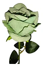 Rosa Artificial Para Regalo, Rosa Artificial  1 Unidad 50cm - Miniatura 5