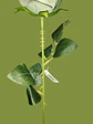 Rosa Artificial Para Regalo, Rosa Artificial  1 Unidad 50cm - Miniatura 6