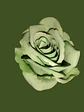 Rosa Artificial Para Regalo, Rosa Artificial  1 Unidad 50cm - Miniatura 8