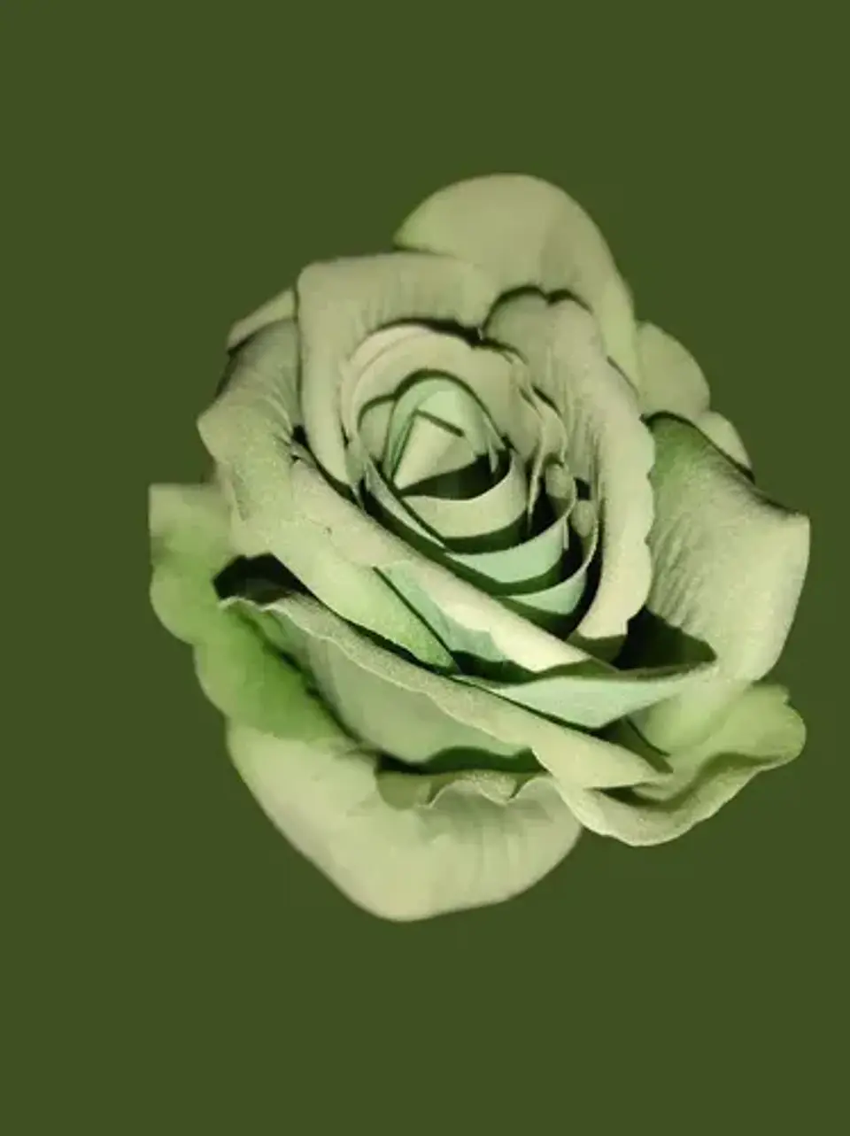 Rosa Artificial Para Regalo, Rosa Artificial  1 Unidad 50cm 8