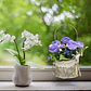 Flores Artificiales Con Maceta Decorativa Para Colgar - Miniatura 3