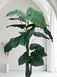 Planta Artificial Decorativa Perfecta Para Dar Luz Al Hogar - Miniatura 5