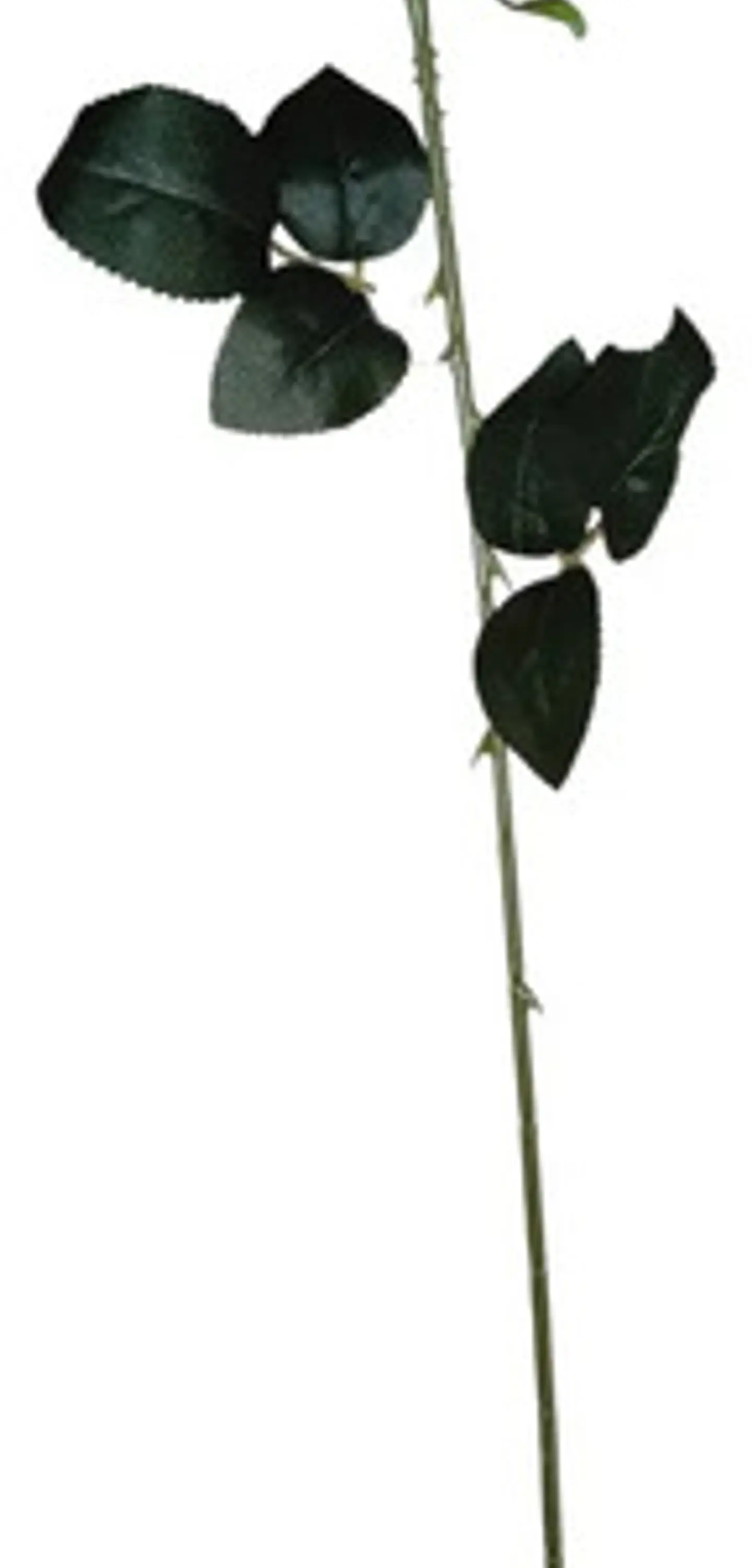 Rosa Artificial Para Regalo, Rosa Artificial  1 Unidad 50cm 8