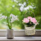 Flores Artificiales Con Maceta Decorativa Para Colgar - Miniatura 2