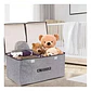 Caja Organizadora Plegable Para Closet, Ropa Y Juguetes - Miniatura 9