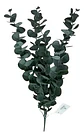 Flores Artificiales Decorativa En Forma De Eucalipto De 44cm - Miniatura 2