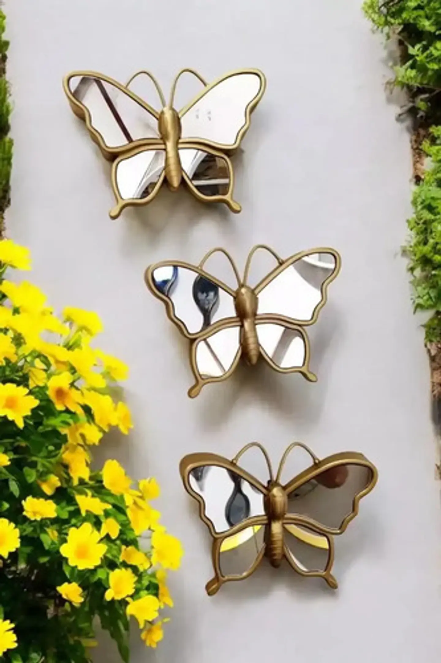 Marco De Mariposa Con Espejo 4