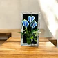 Cuadro Decorativo Floral Ideal Para Cualquier Ambiente - Miniatura 2