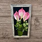 Cuadro Floral Decorativo Que Transforma Tus Espacios C Rosa - Miniatura 2