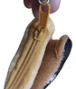 Monedero Felpa Capibara Comodo Y Versatil - Miniatura 3