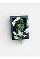 Marco Decorativo Con  Flores Que Cobran Vida - Miniatura 1