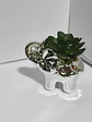 Adorno Decorativo En Forma De Elefante Con Planta Plateado P - Miniatura 5