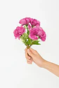 Flores Artificiales Modelo Rous - Miniatura 4