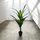 Planta Artificial Decorativa Grande Realista Para Hogar P - Miniatura 5