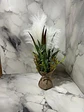 Planta Artificial Decorativa Con Diseño Unico - Miniatura 4